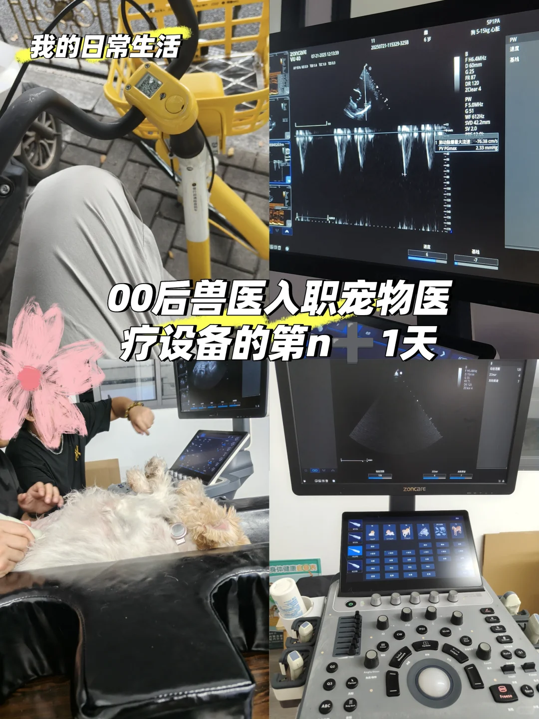 00后兽医入行宠物医疗设备