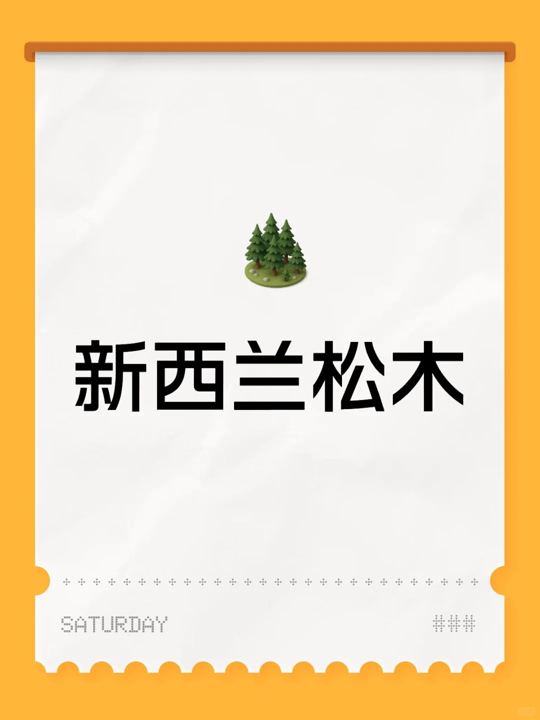 新西兰松木板材,打造你的理想家居生活!