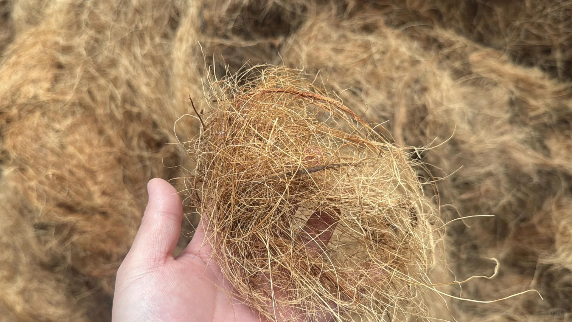 椰丝毯纤维毯护坡新材料