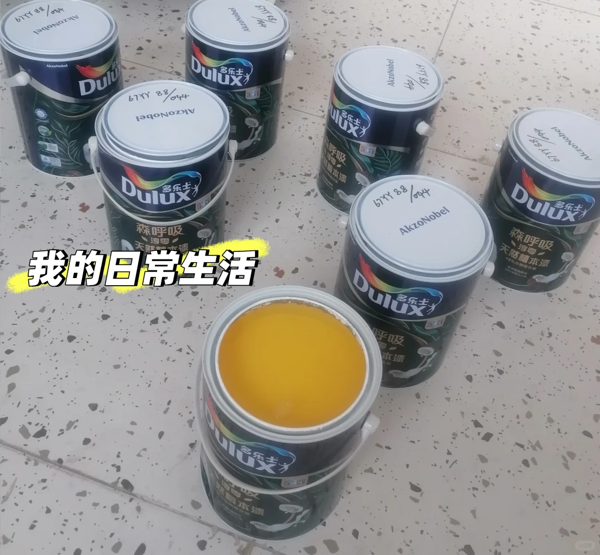 北富森美多乐士植本漆出货调色