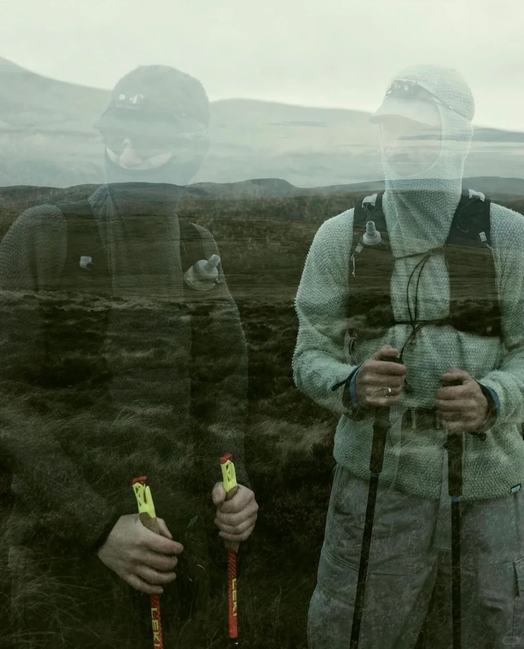 来自 Senchi Designs 的自然见解?