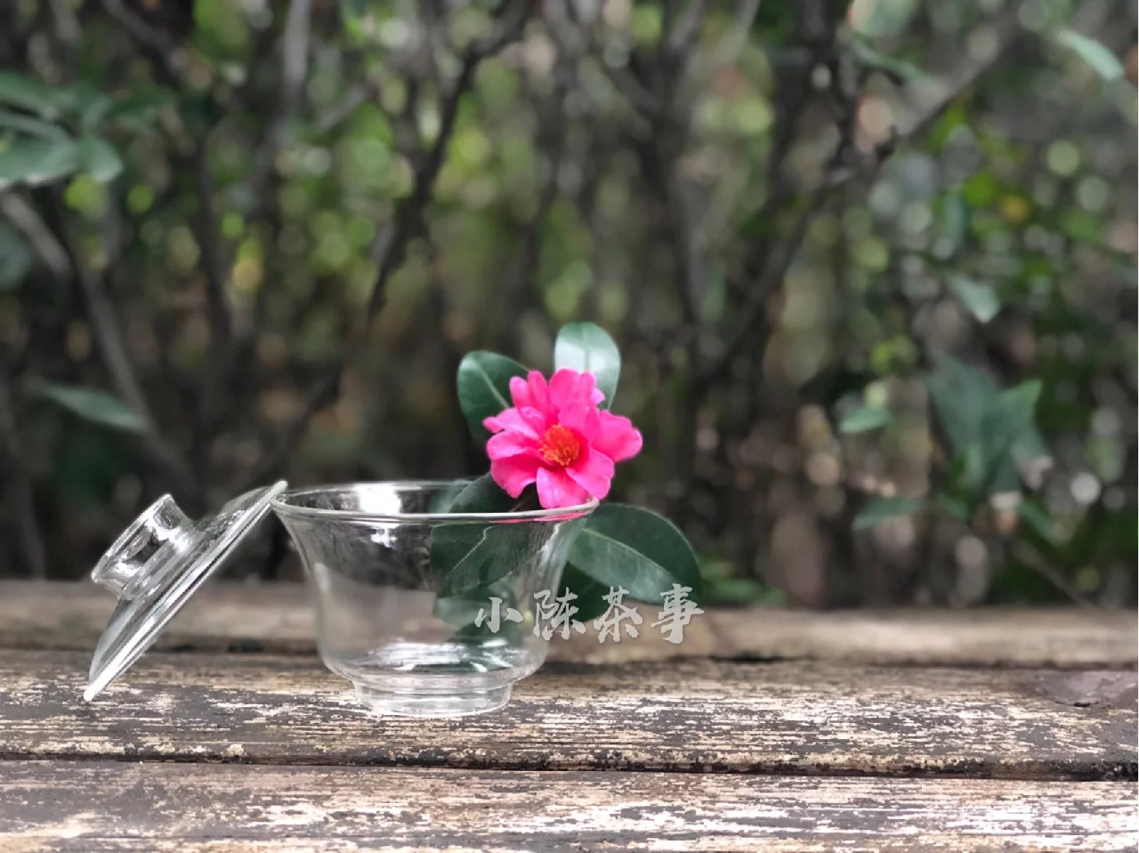 白瓷盖碗和玻璃盖碗,两字之差,差距多大?