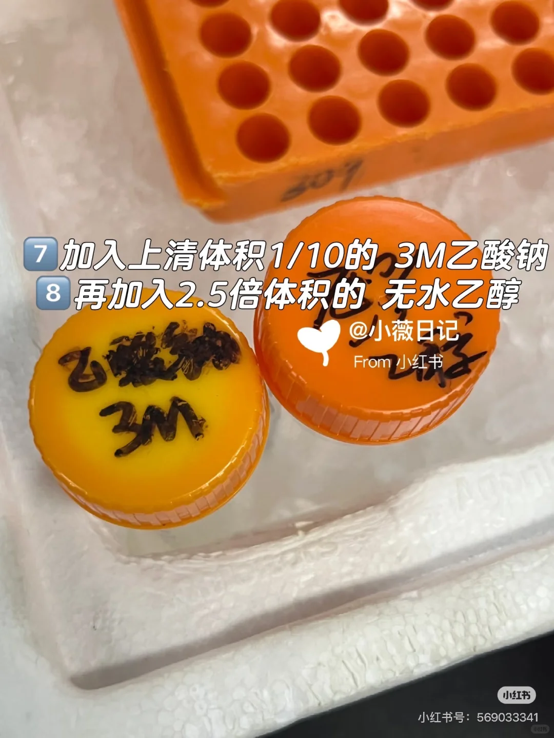 线粒体DNA拷贝数检测protocol详解✅