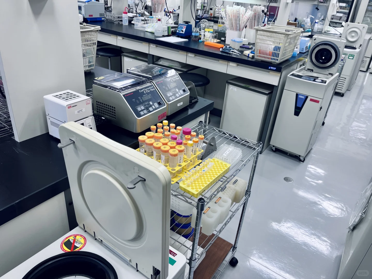 ?医学生｜实验室算不算干净整洁呢???