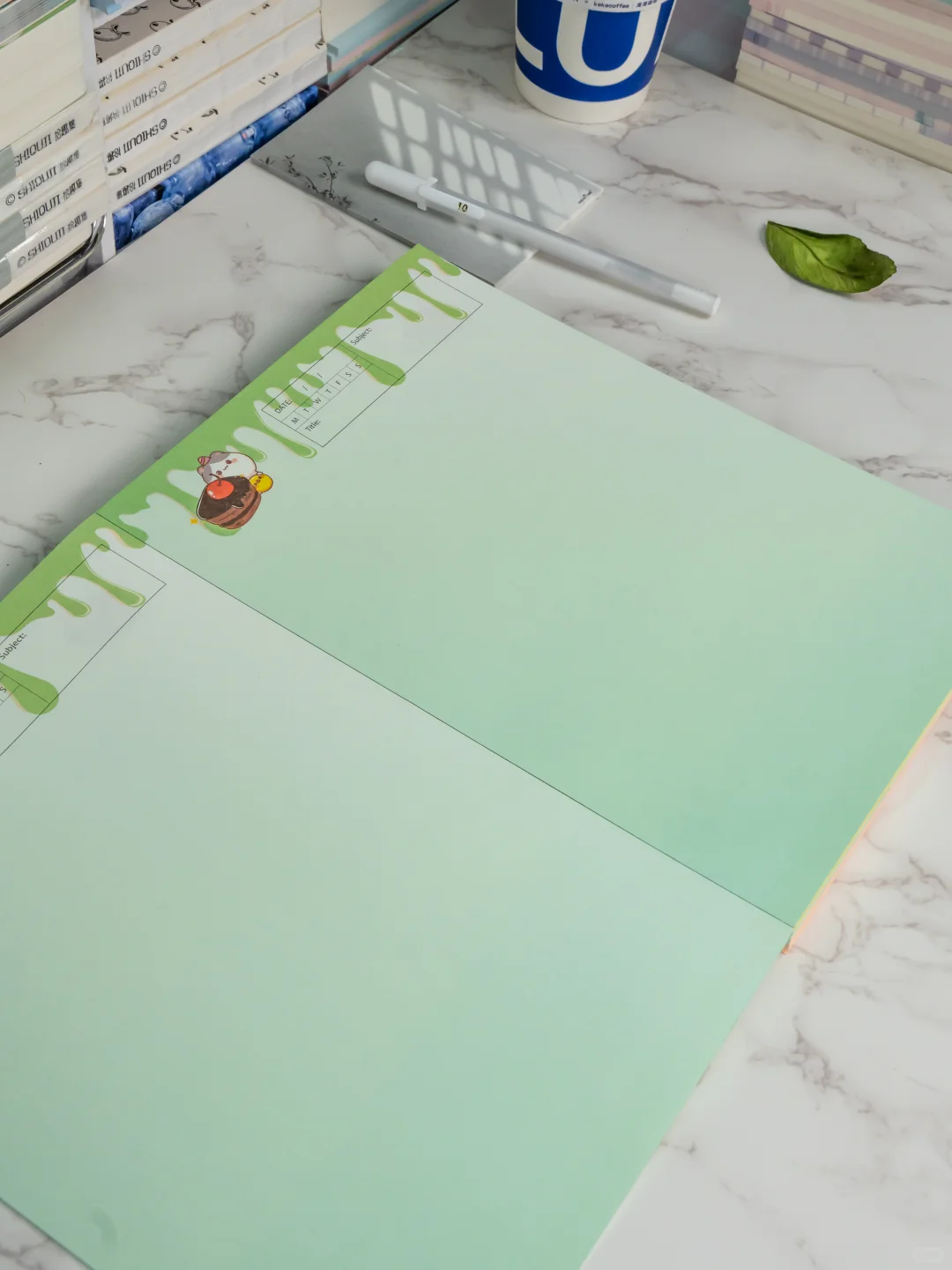 ? B5 拍纸本 100克双面彩印 ?