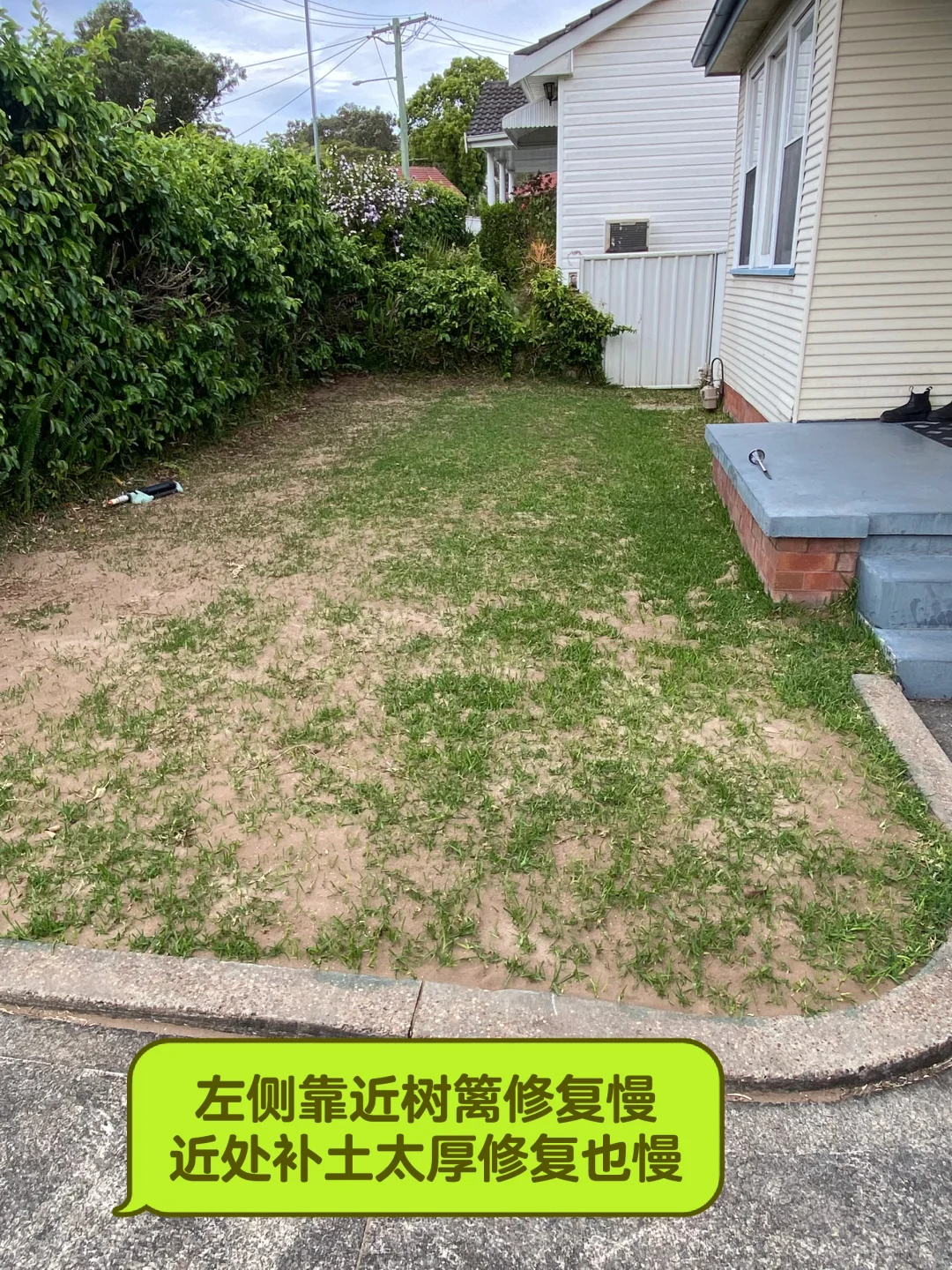 草坪修复与补给