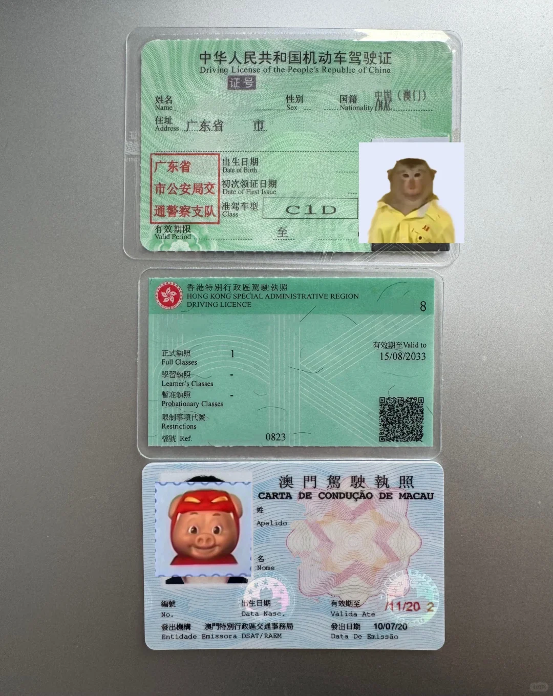 粤港澳大湾区三地驾照区别介绍