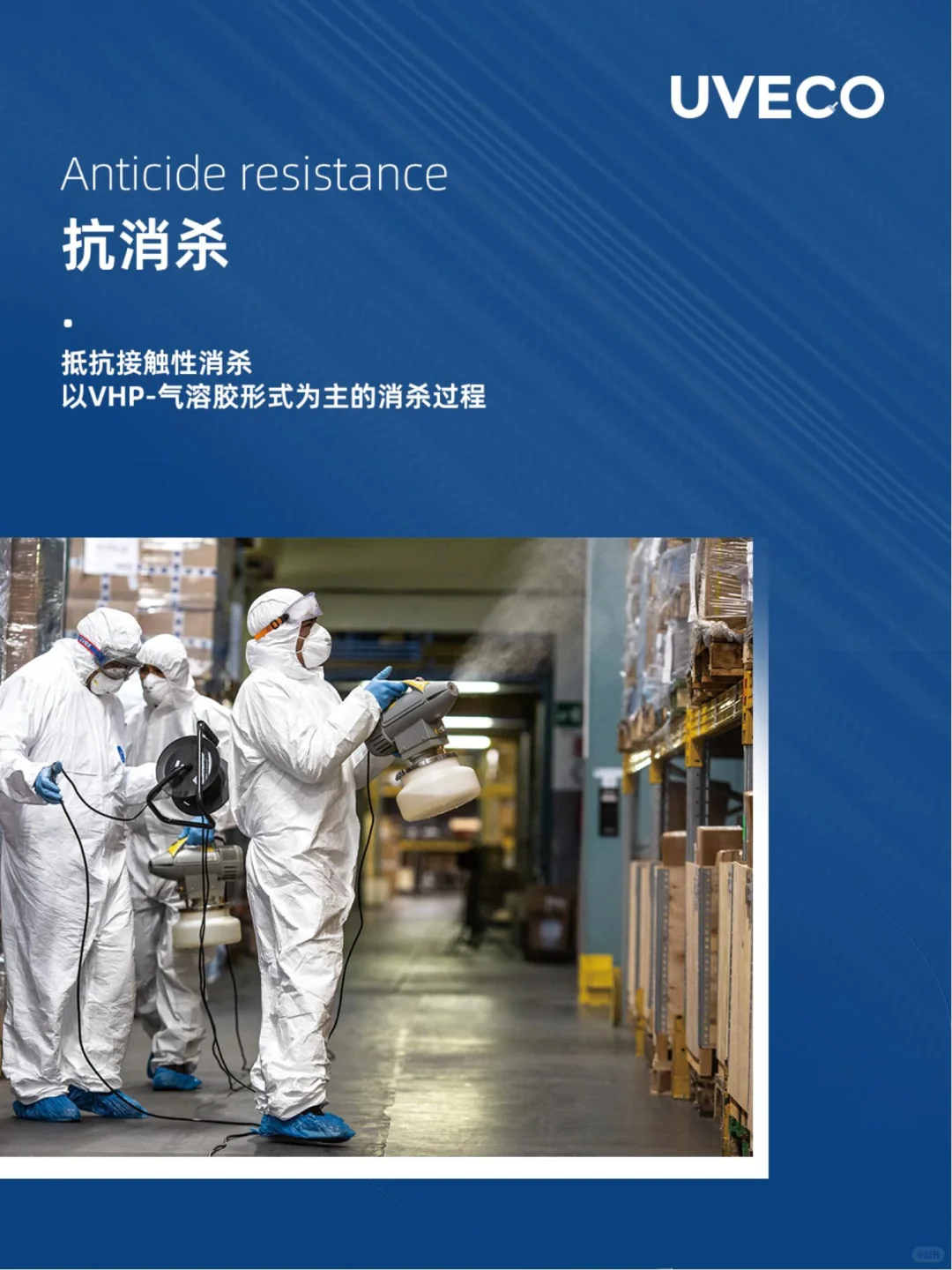 优威康抗菌自洁漆