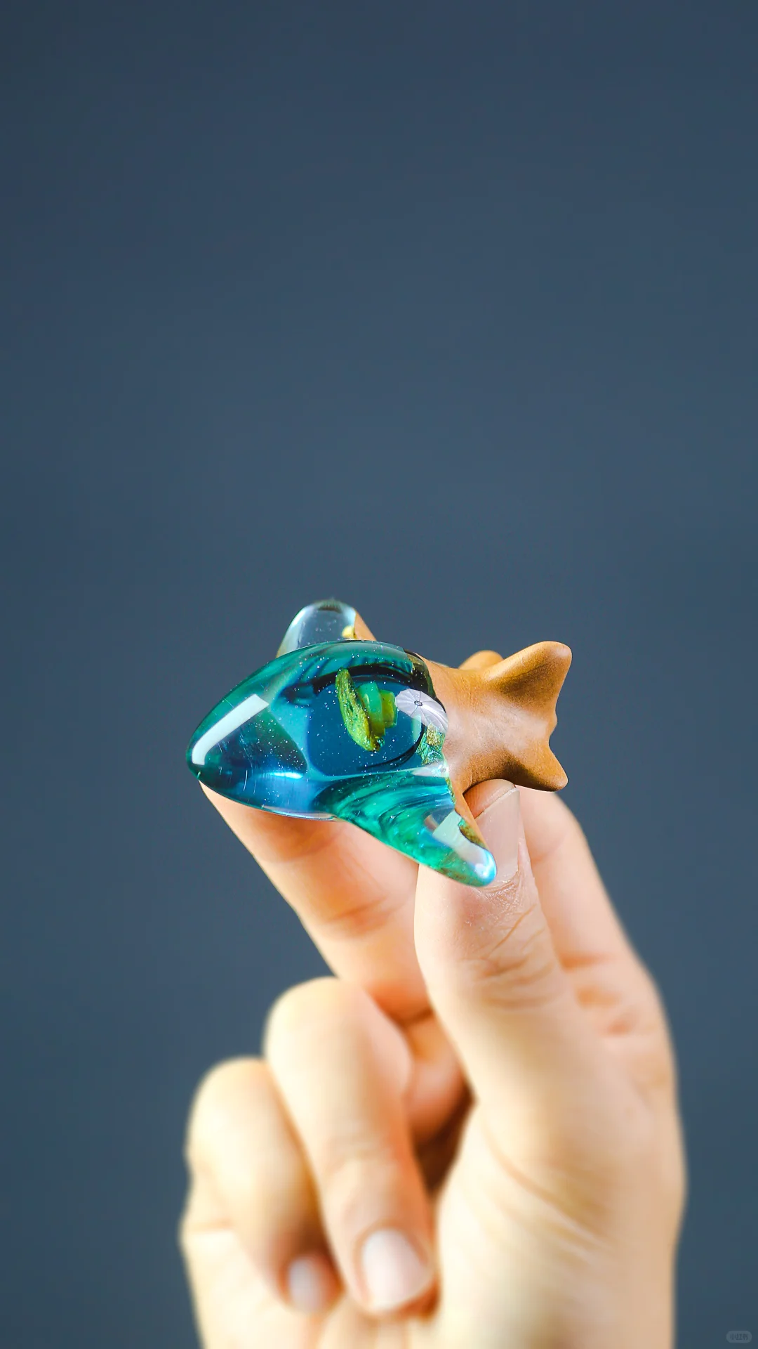 未来梦幻小飞机封存脐带胎发