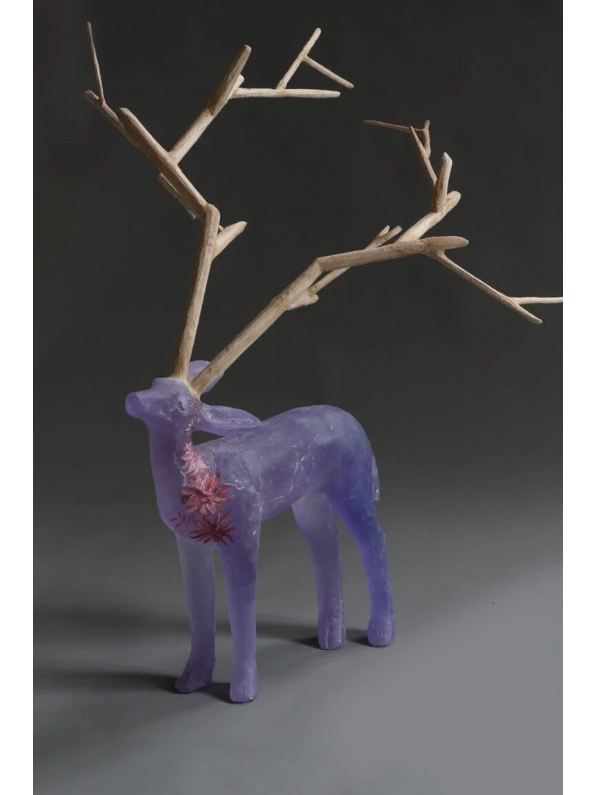 LOKA分享 | 玻璃与陶瓷