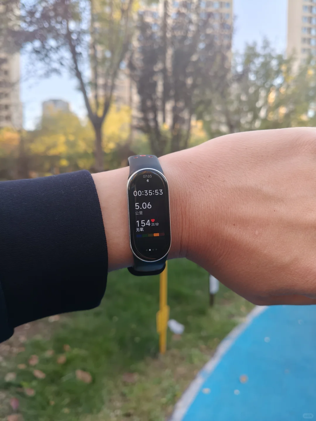 11月修复第二天