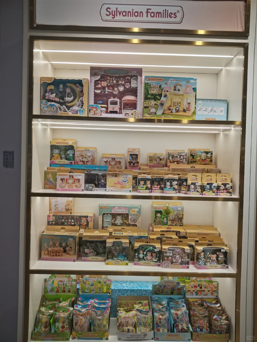 森贝儿家族日常分享