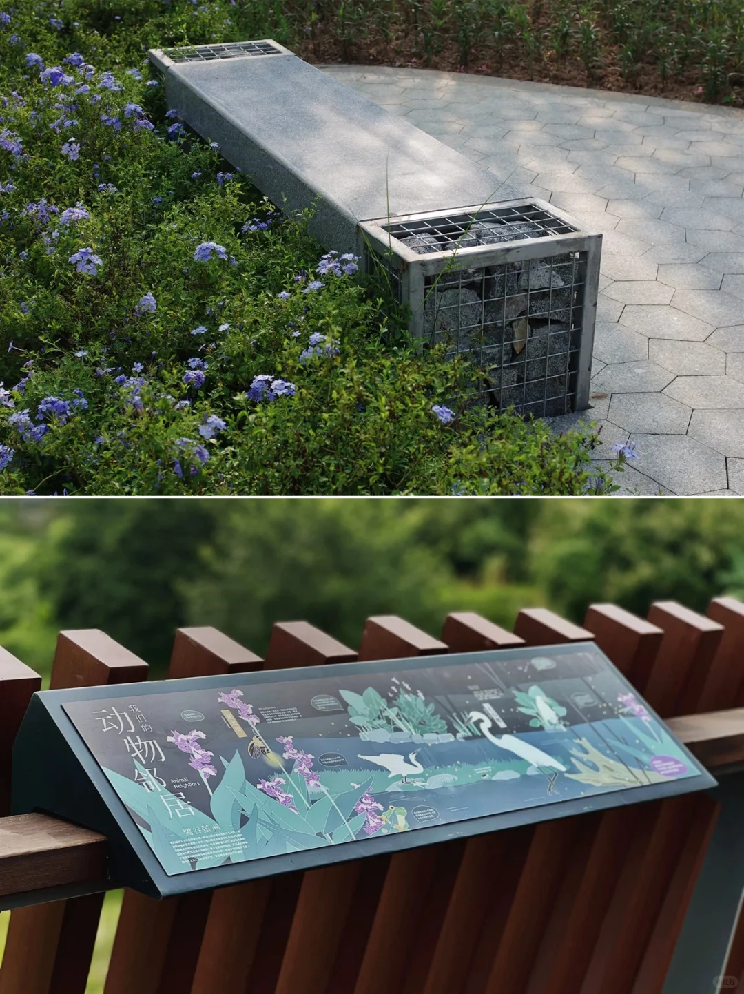 从劣五类水到幸福之河！广州黄埔南岗河更新