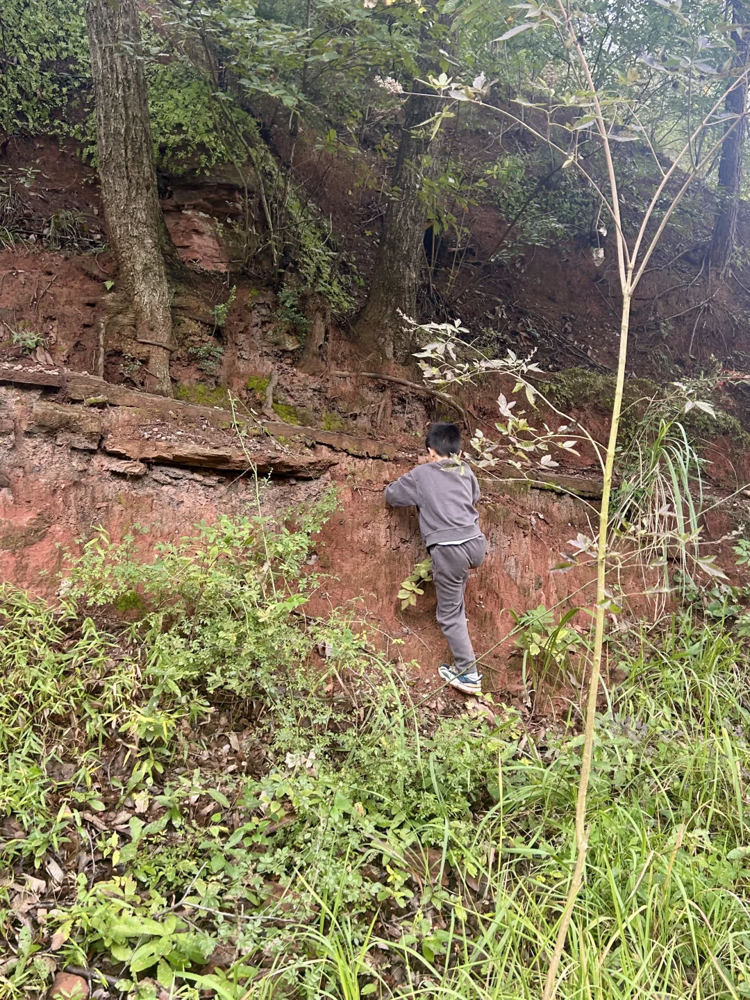 去见⛰️2025年10月26日 金堂梨花沟