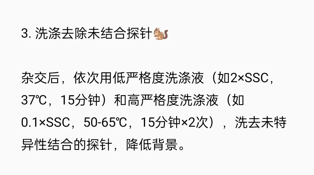 原位杂交（FISH）检测实验流程