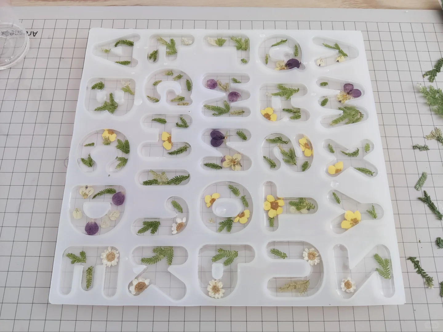 哦豁！谁说字母滴胶简单的！！