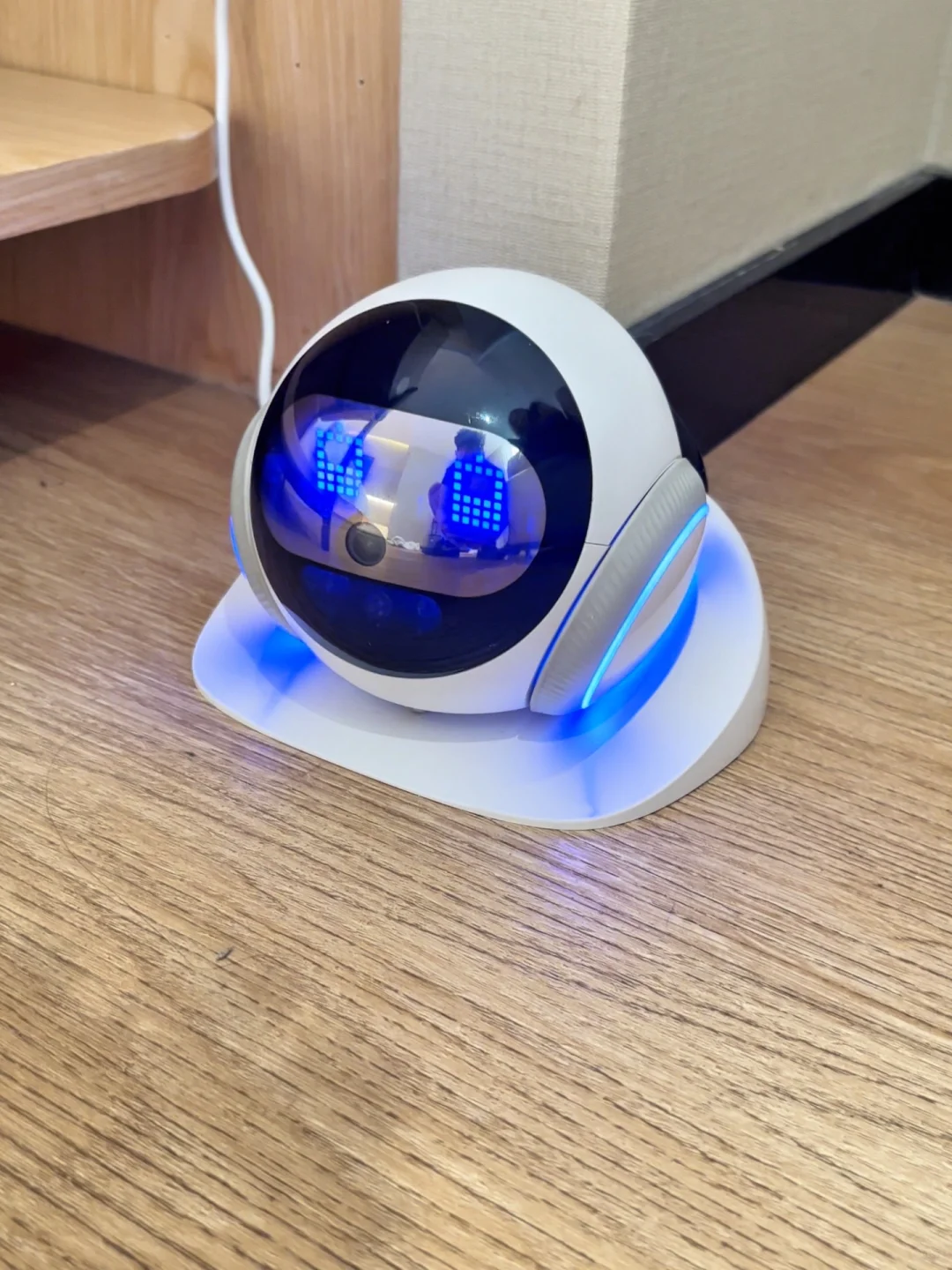 famue宠物移动监控,使用感受