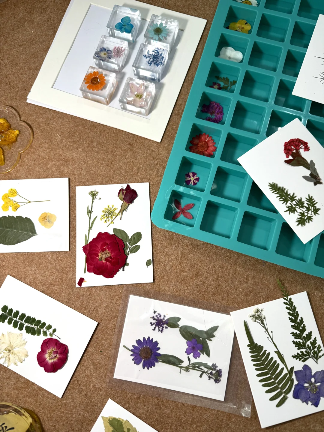 沉浸式压花｜治愈系小花花