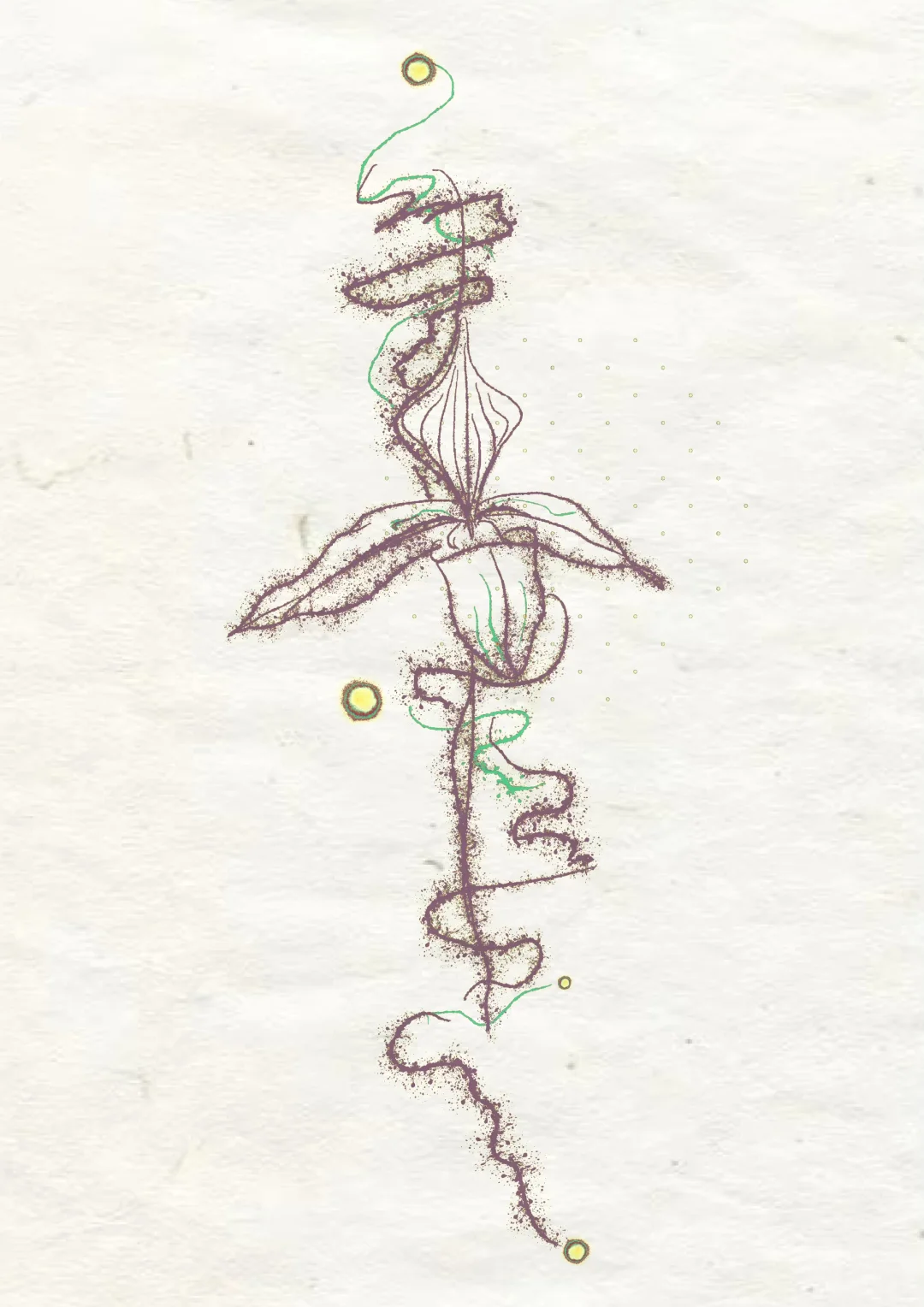 Tattoo｜当猪笼草开始发光?左滑变色