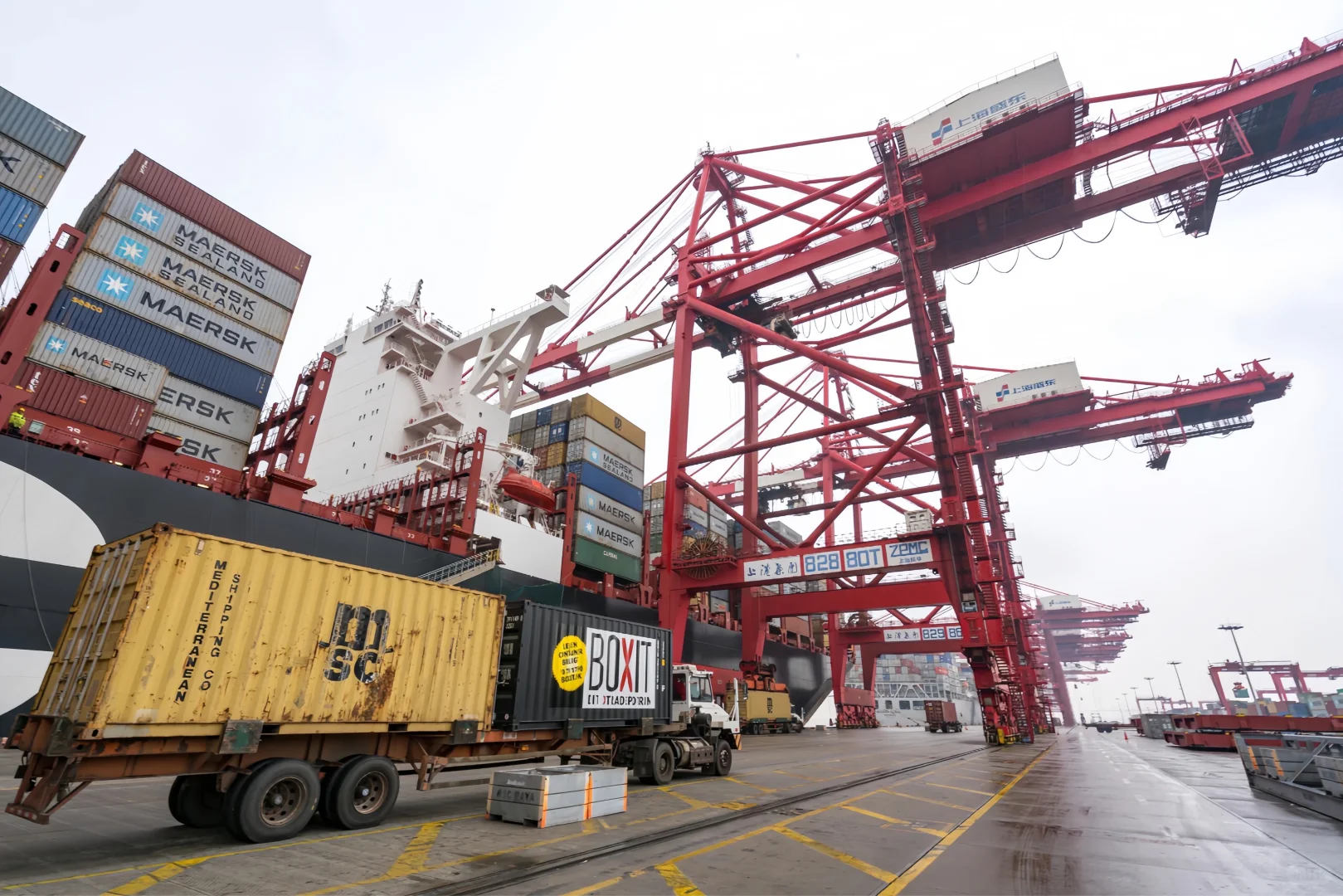 国际知名海运的船公司有哪些？?