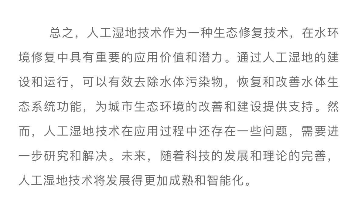 人工湿地技术在水环境修复中的应用
