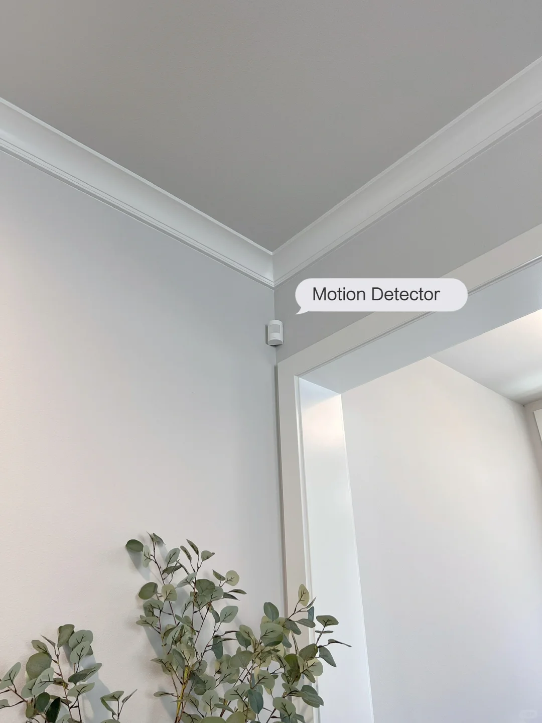 北美智能安保?这么简单的钱就不让别人赚了