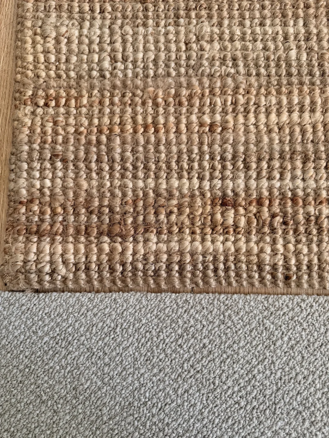 老年犬家庭适老化改造（下）｜防滑和睡眠