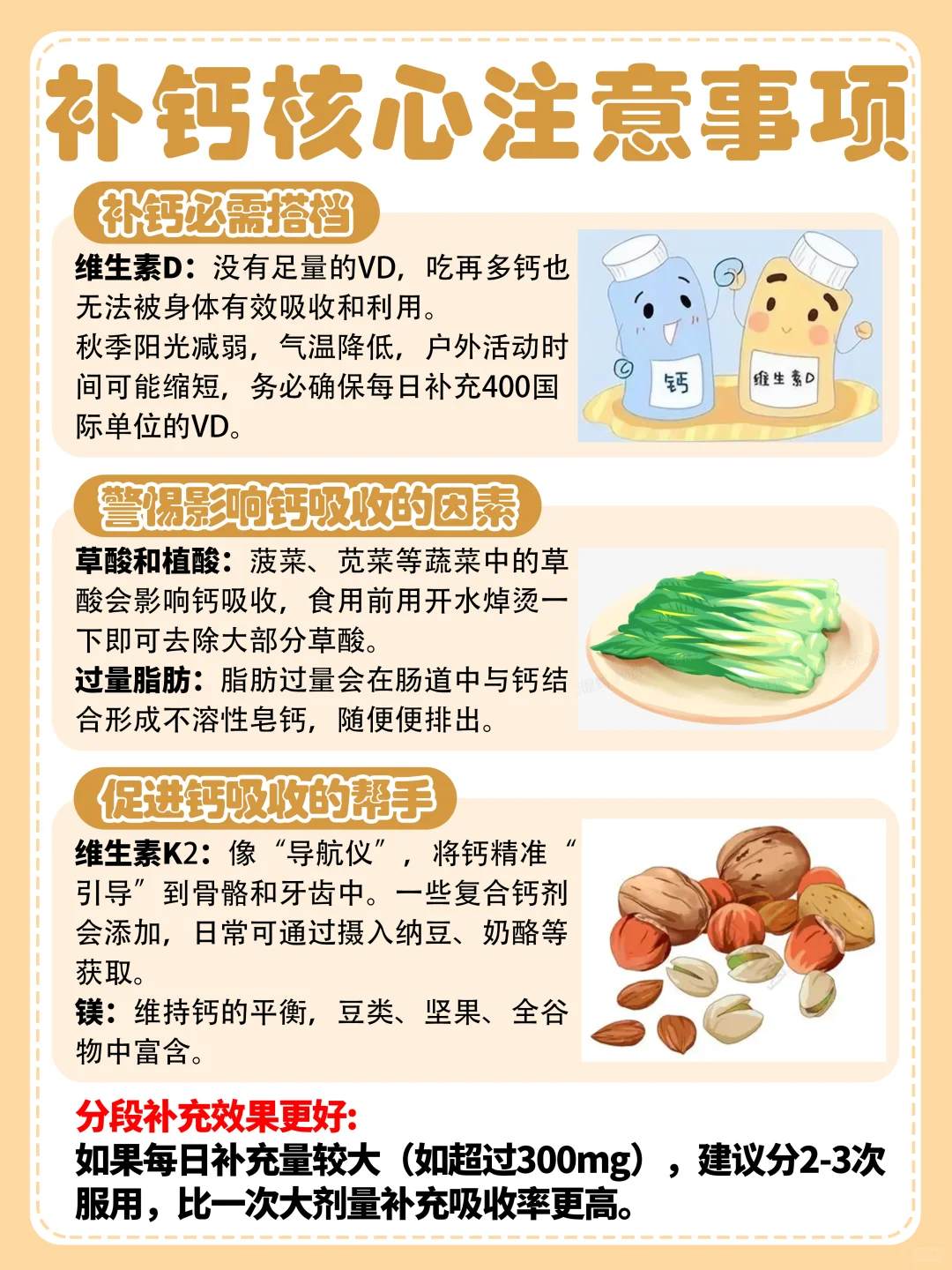 钙与维生素D：骨骼健康的“黄金搭档”