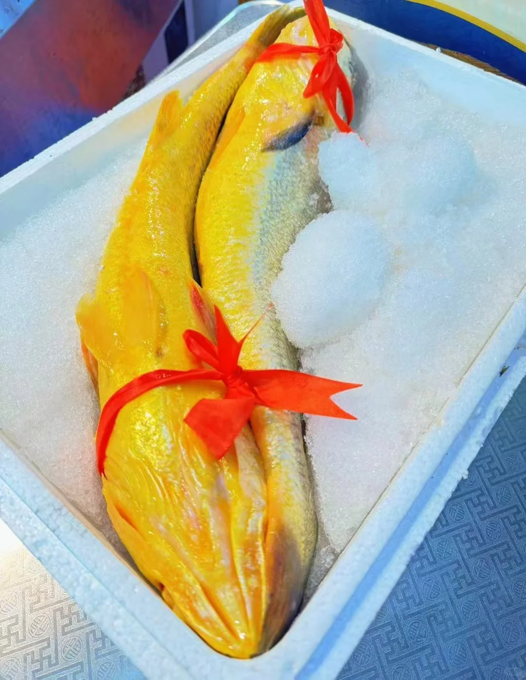 ?海味盛宴，共赏生态之美?