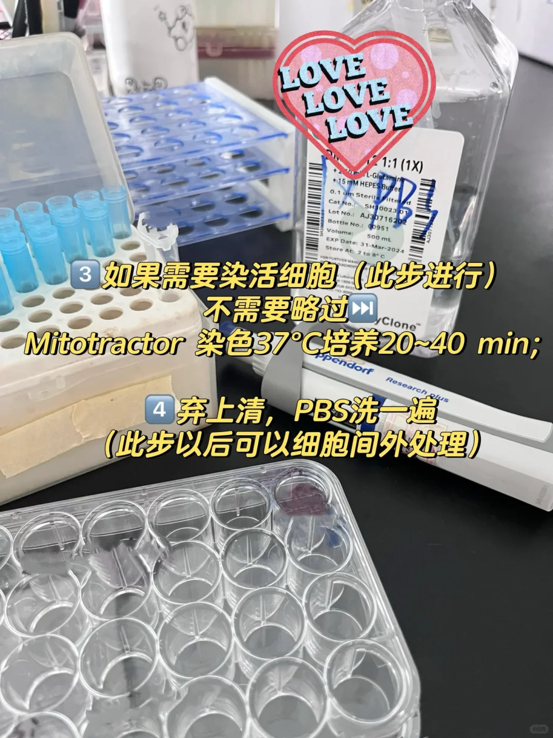 细胞免疫荧光实验 protocol详解‼️