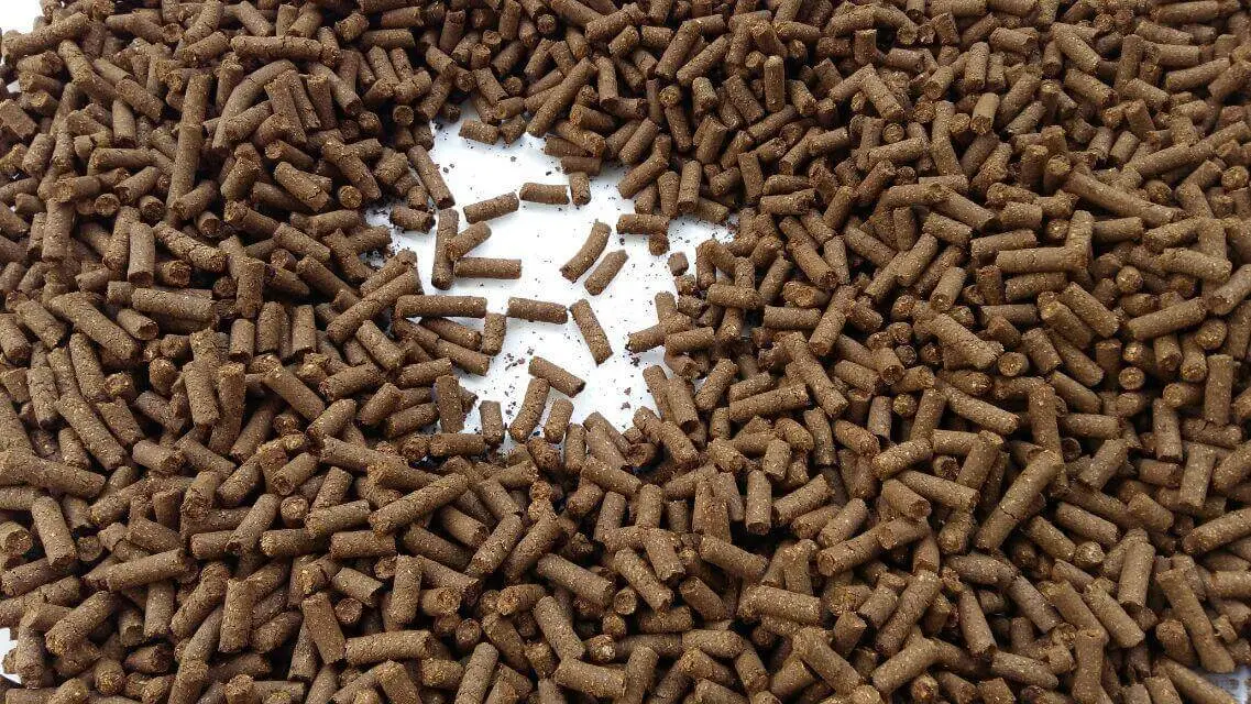 乳猪教槽料常见和最新的加工工艺