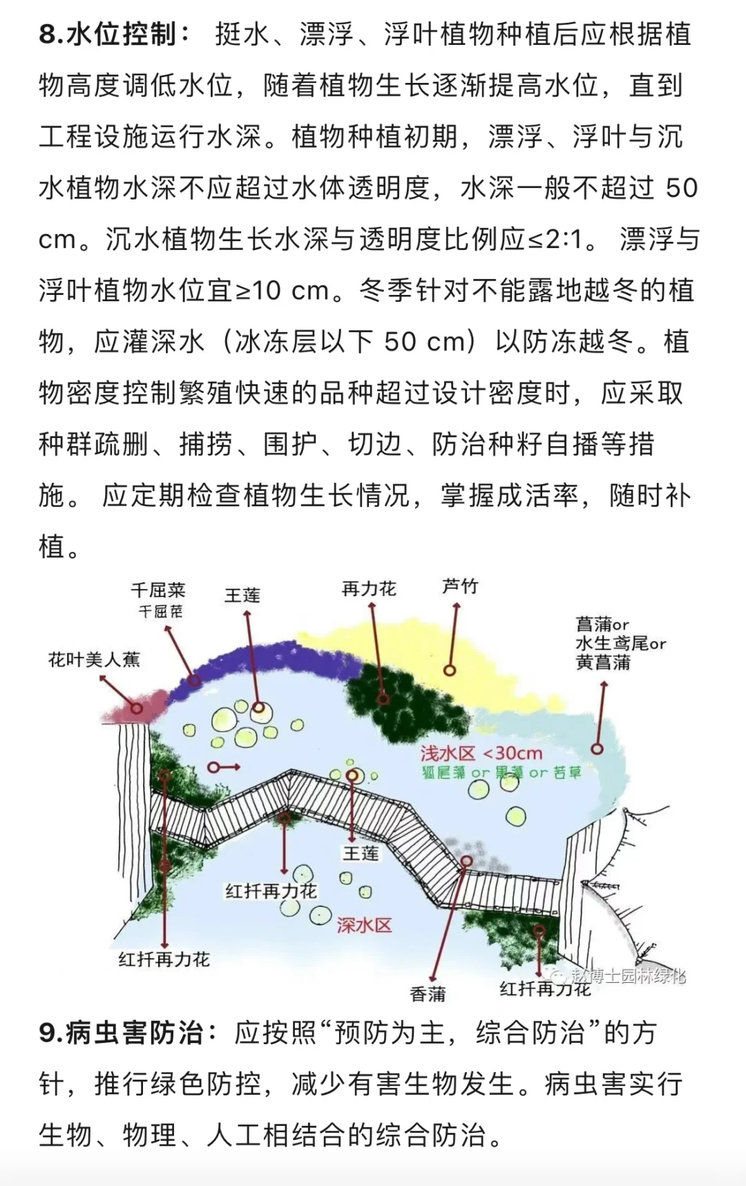 水生态修复植物种植方法与养护技术…