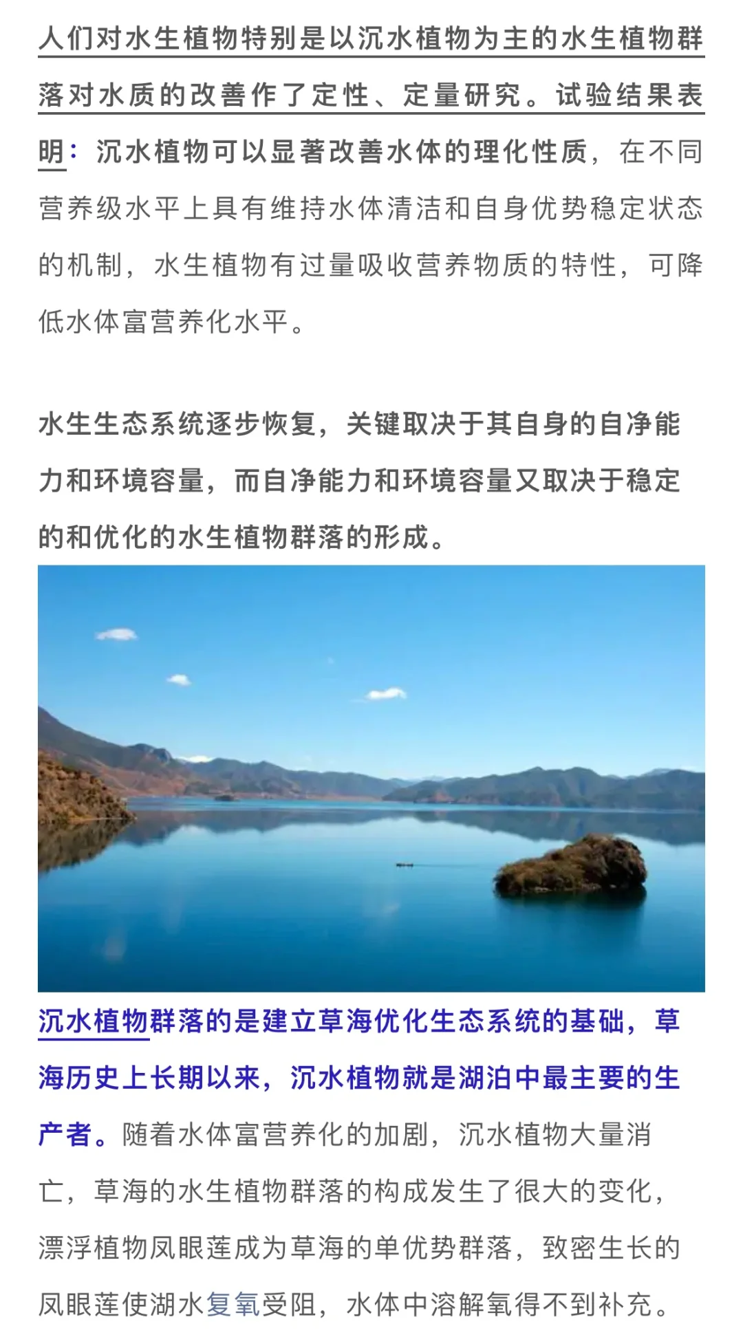 水生植物在水体修复中的妙用……