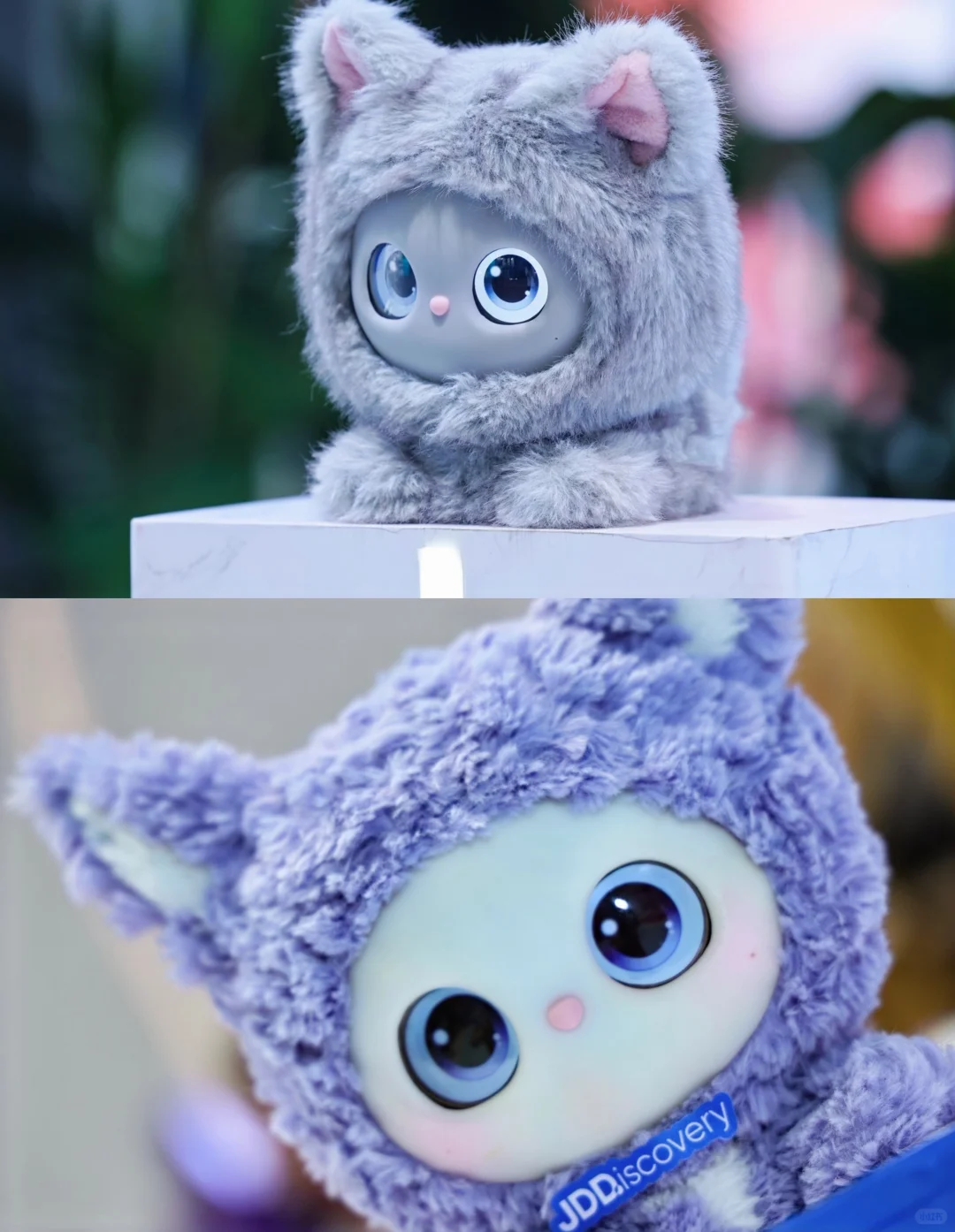 圆满结束！Mochi舍不得大家…?