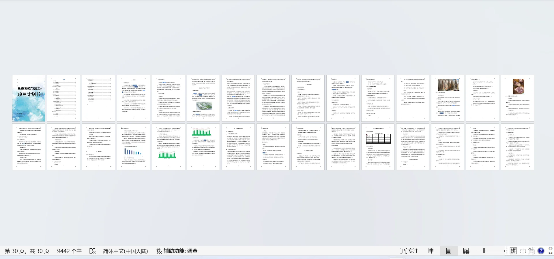 生态养殖与加工项目计划书Word