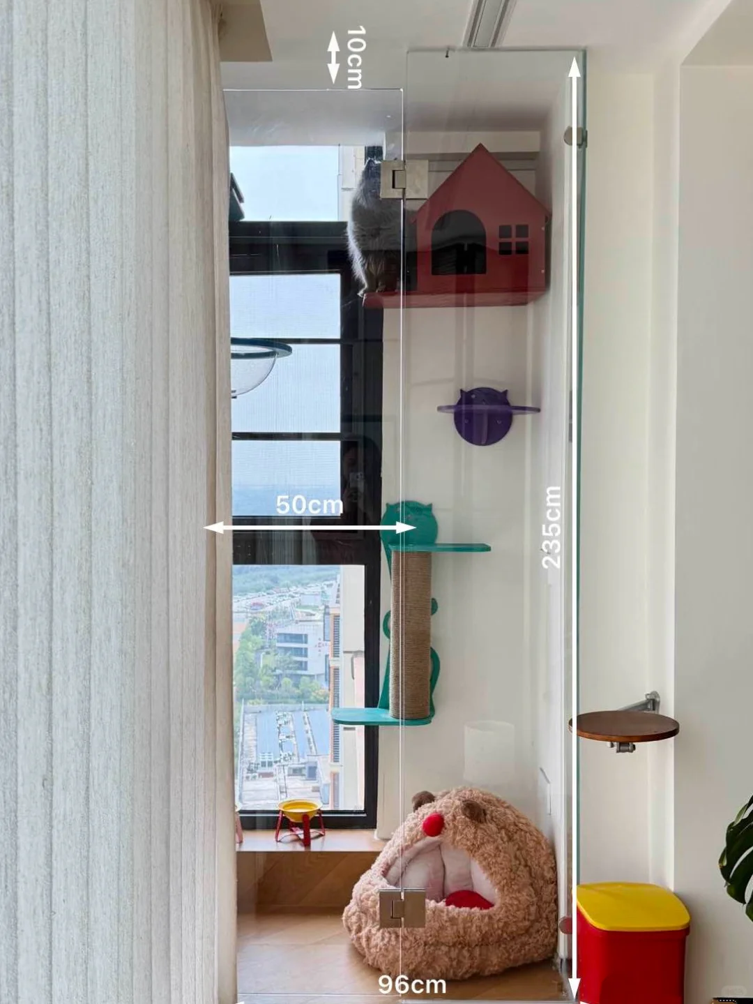 ?✨0.5平玻璃猫房 小空间改造✅附尺寸?