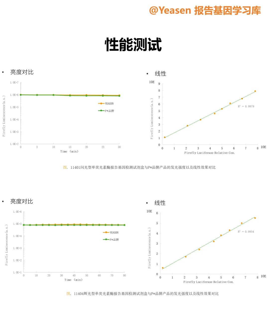 荧光素酶报告基因检测试剂盒试用装免费领取