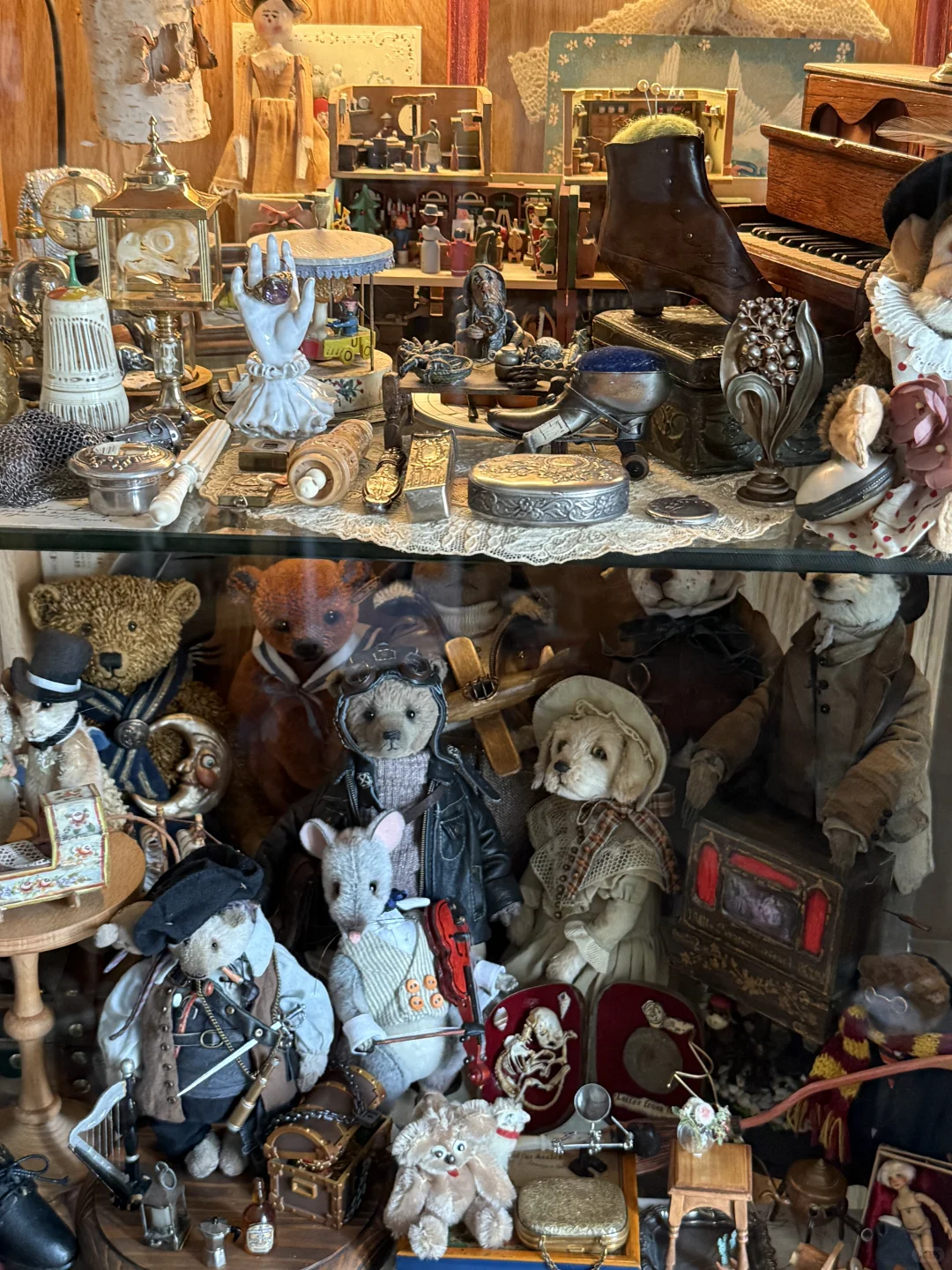 ?珍奇屋｜我家奇奇怪怪的玩物收藏?