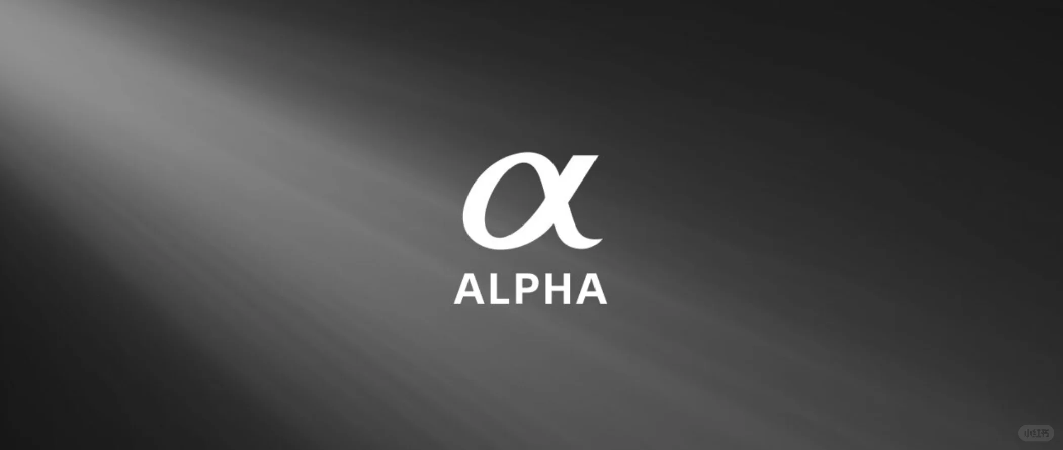 100-400f8 天黑就回家