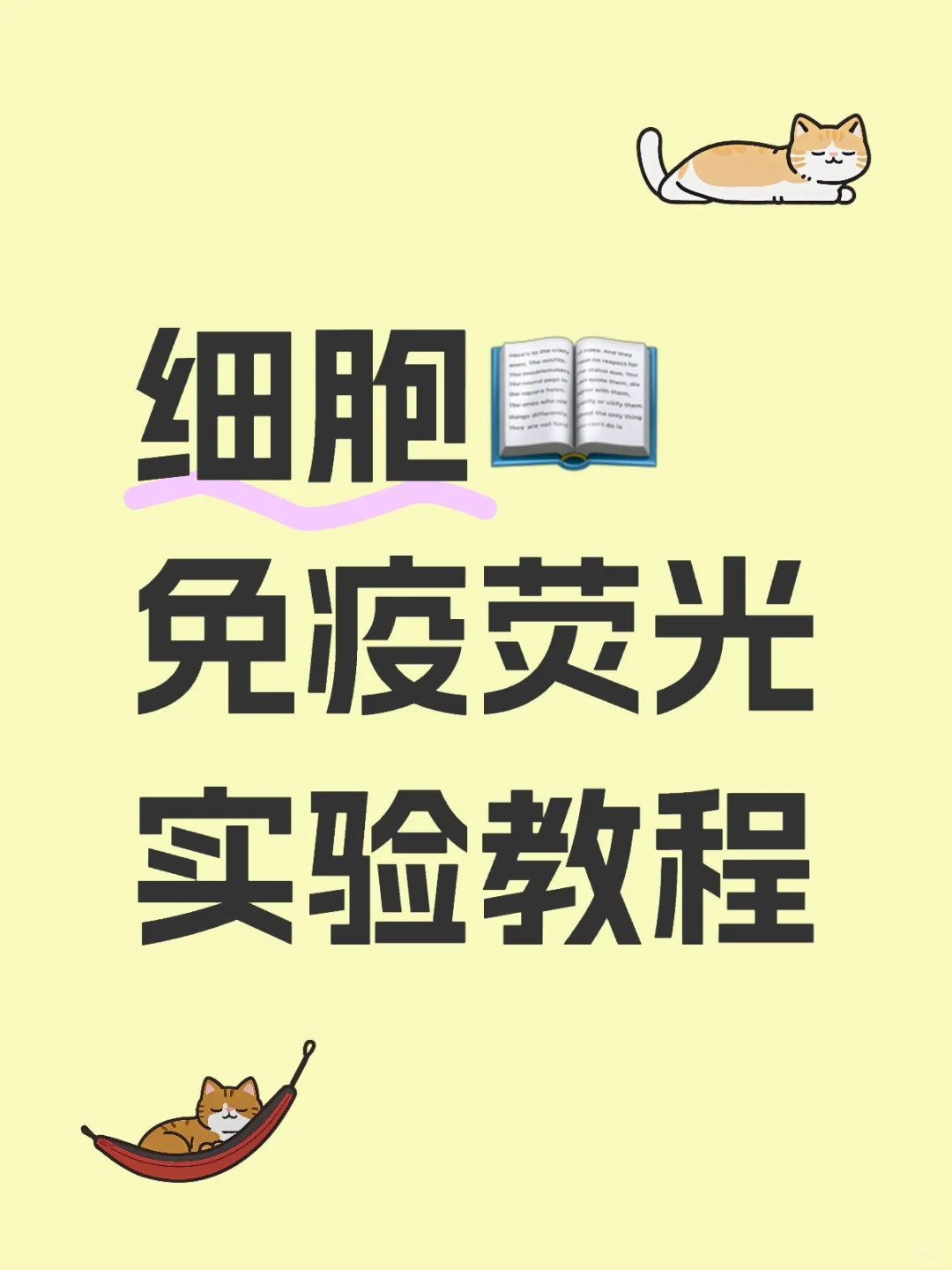 细胞爬片 免疫荧光实验教程