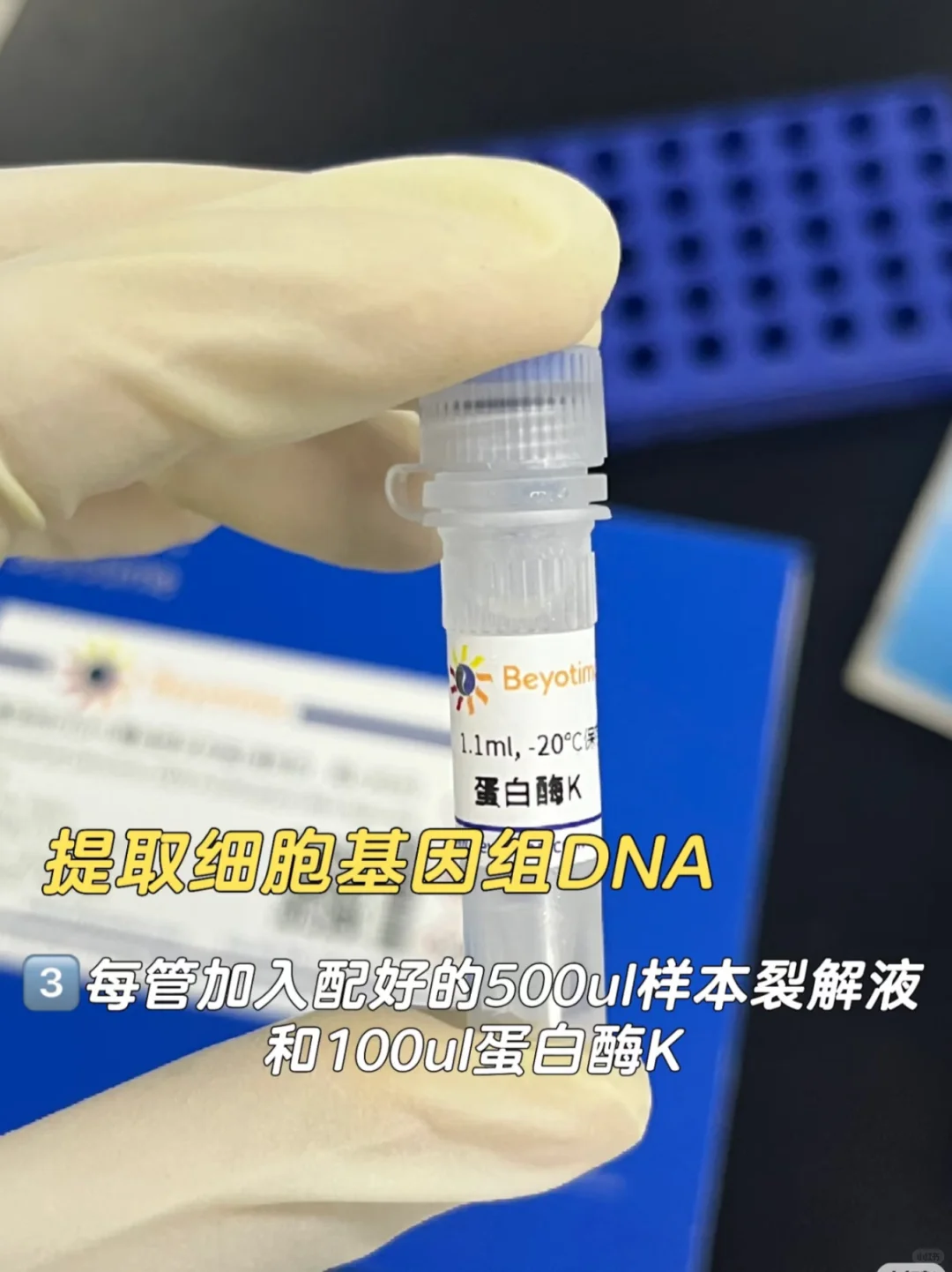 线粒体DNA拷贝数检测protocol详解✅