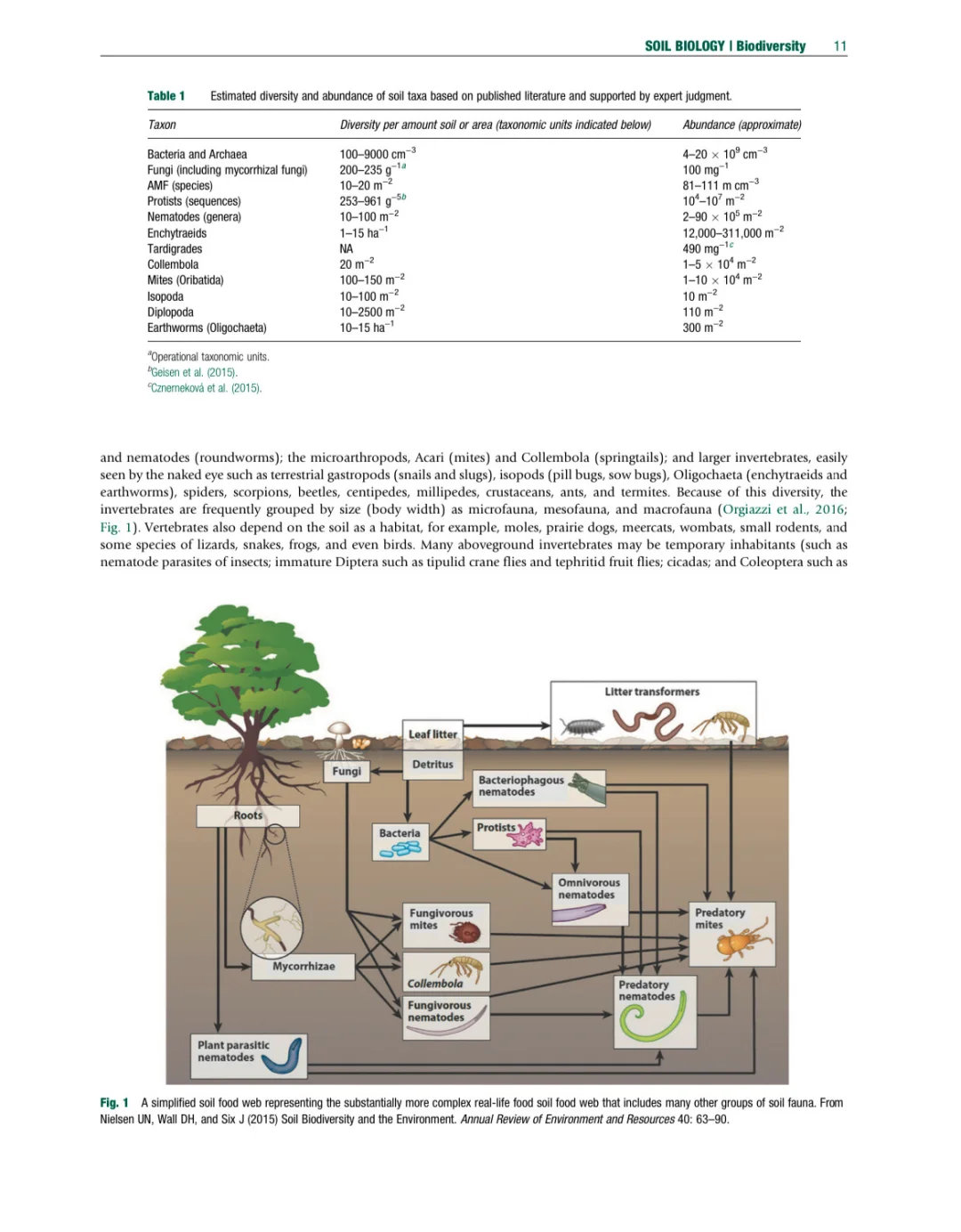 环境土壤学百科全书 第二版