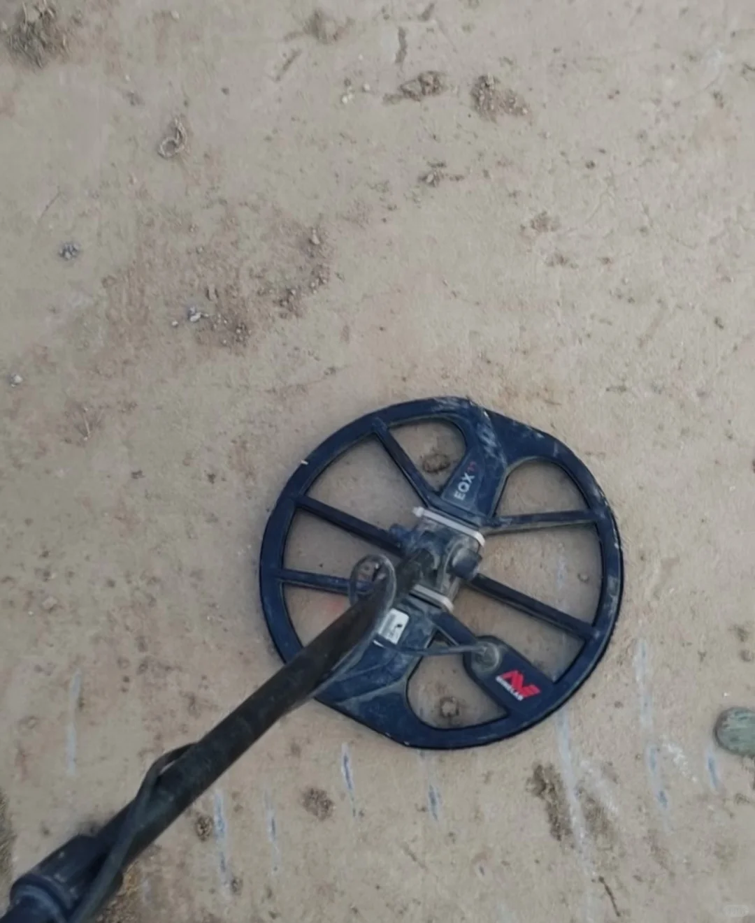 谁知道哪里有金属探测器租？