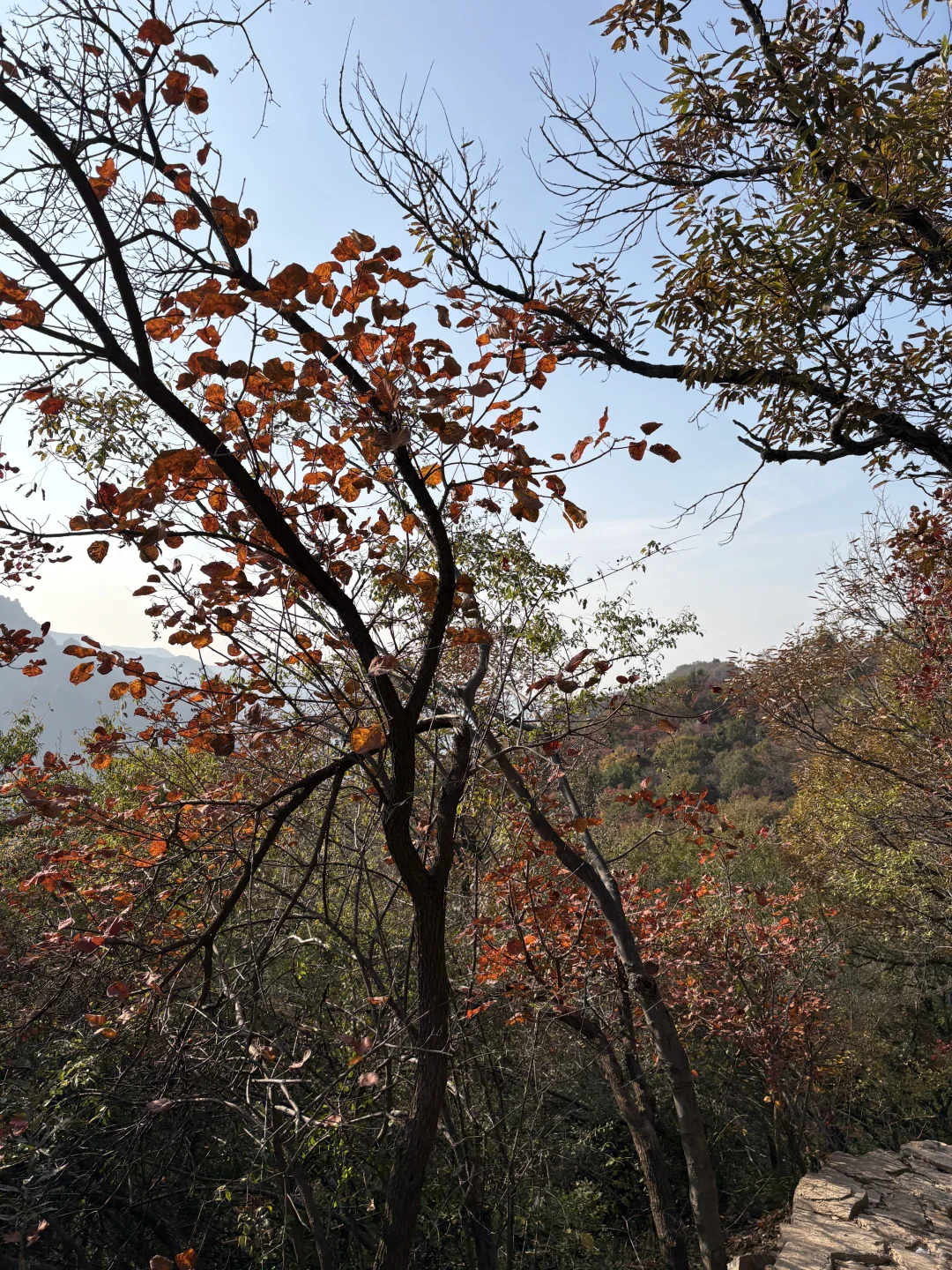 巩义达西沟赏红叶保姆级攻略?