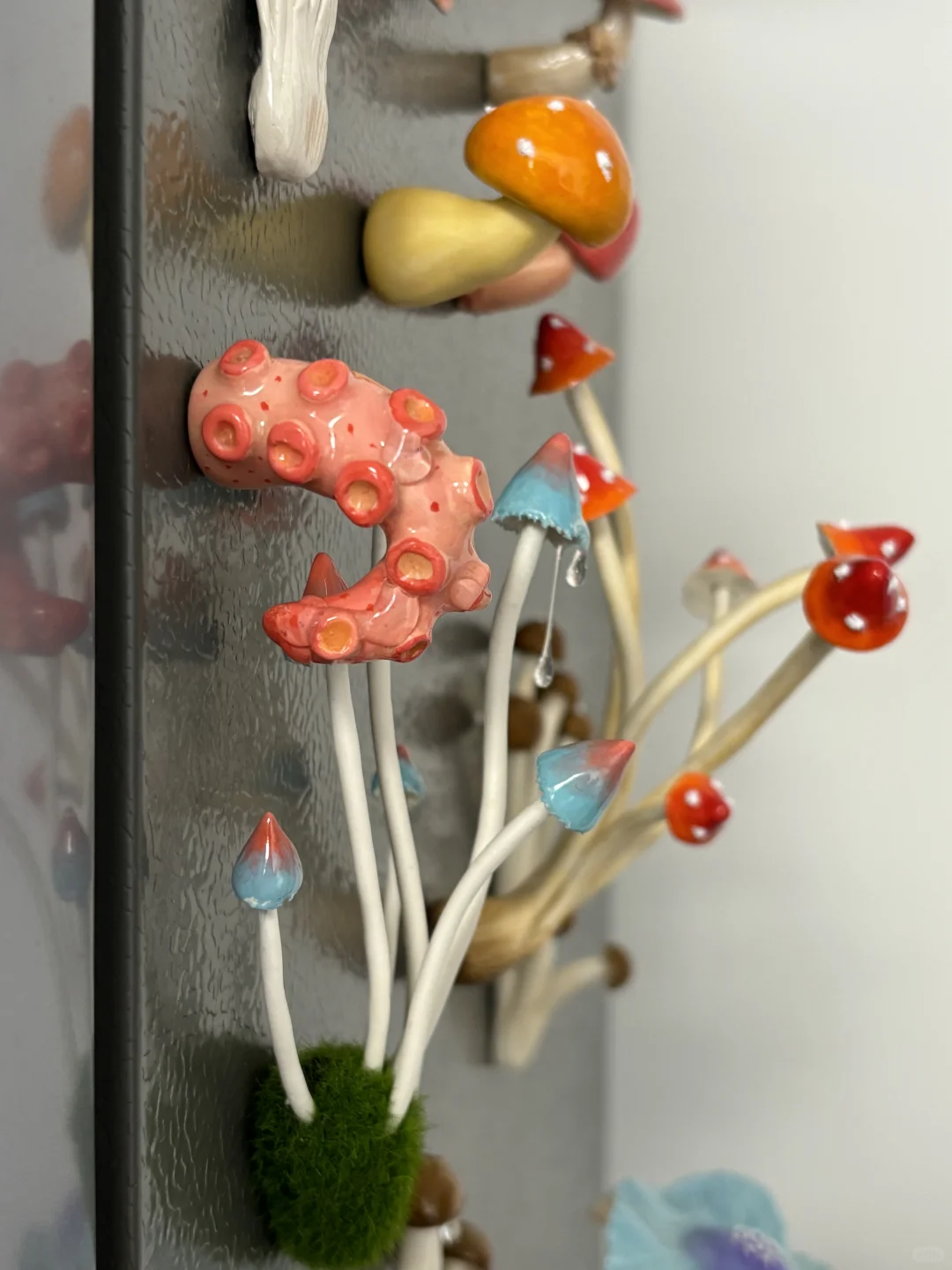 蘑菇蘑菇??冰箱怎么长蘑菇了?(第二弹)