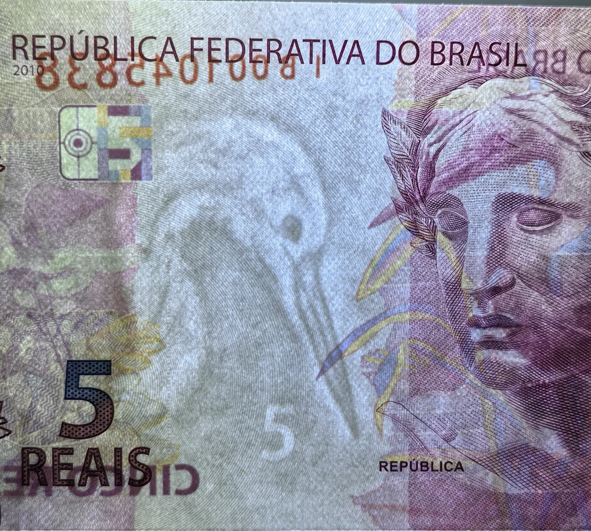 每日一钞：巴西5雷亚尔纸币