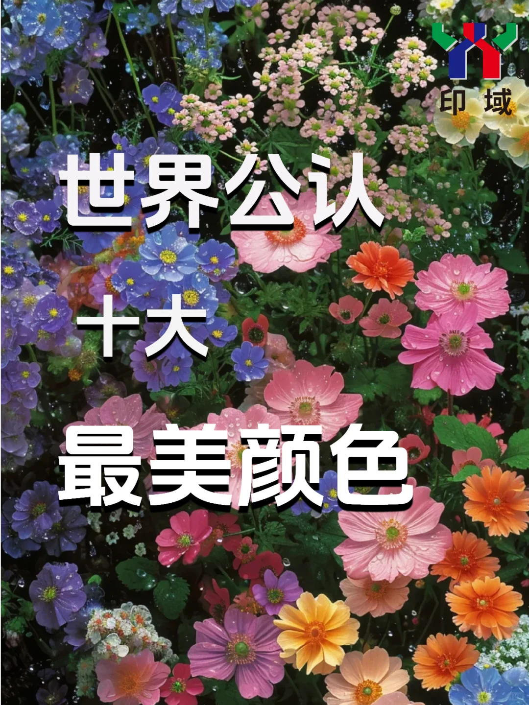 世界公认十大最美颜色,赛瑞斯油墨轻松还原✨