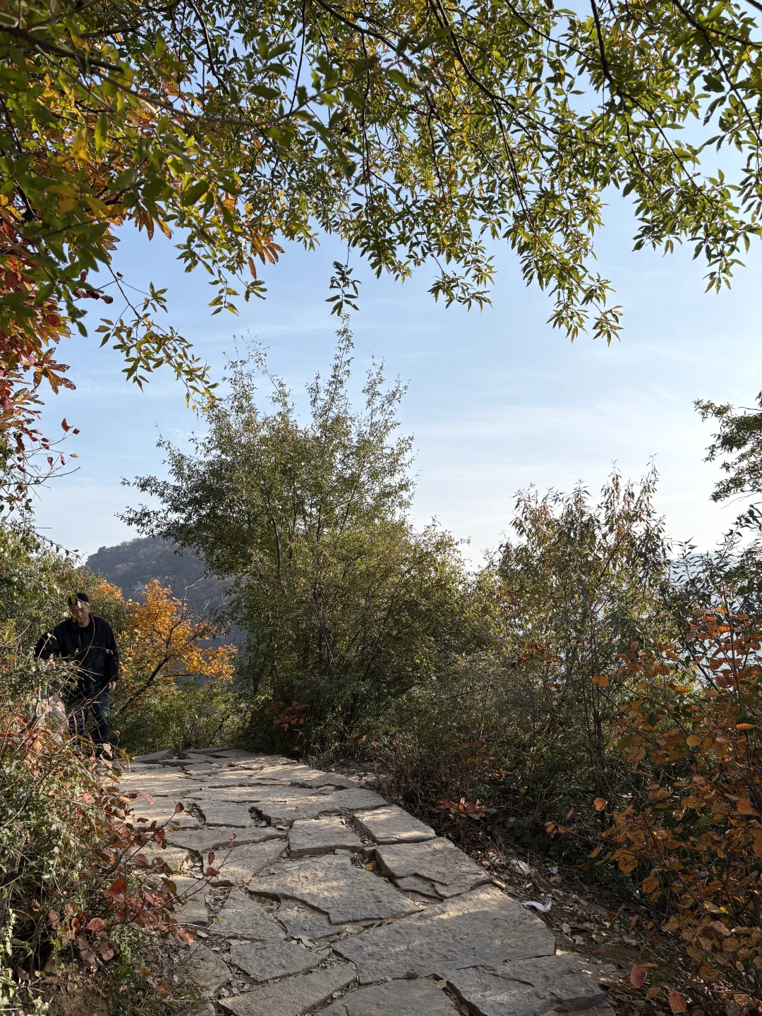 巩义达西沟赏红叶保姆级攻略?