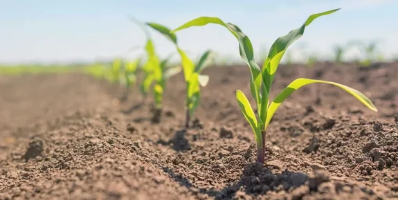 德国元素参加第四届土壤技术分析会