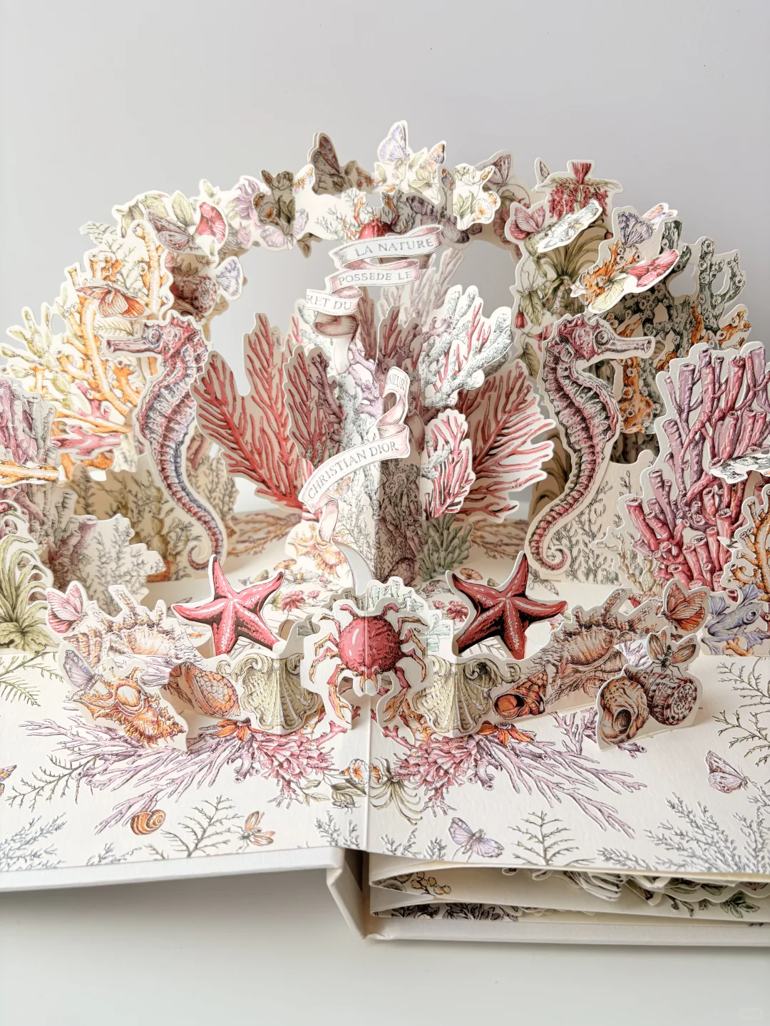 终于收到了这本迪奥立体书